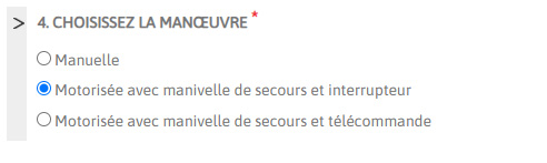 Manoeuvre motorisée à interrupteur