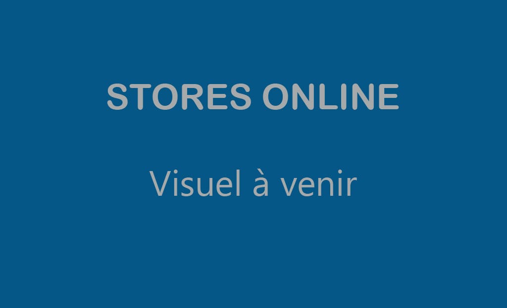 Encombre du store coffre intégral Rhéa